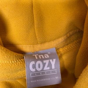 Aritzia cropped hoodie